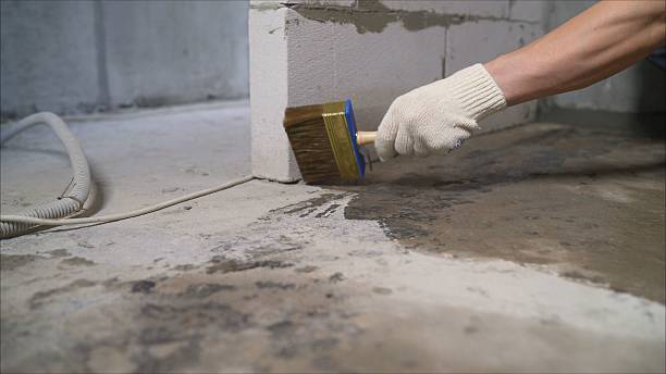 SJ Waterproofing Pros Emergency Waterproofing coverage map for Camden, MI and surrounding area